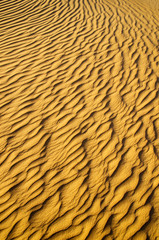 sand texture