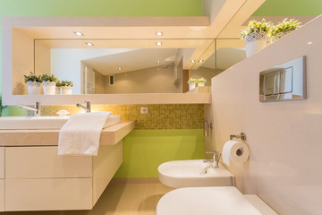 Modern bathroom with green painted wall