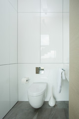 Small clean and fresh toilet