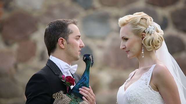 newlyweds photographed with peacock sunbird close up