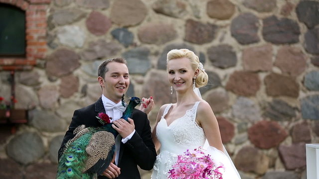 newlyweds photographed with peacock sunbird