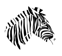 Fototapeta na wymiar Zebra head tattoo