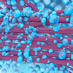 Staphyloccus - 3d Render