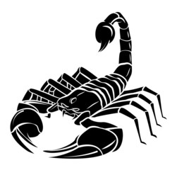 Scorpion MAscot Tattoo