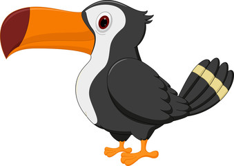 Toucan bird cartoon