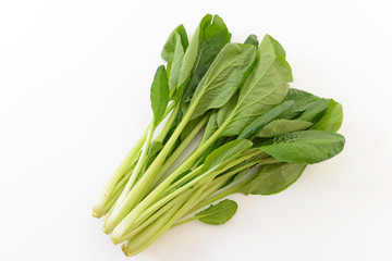 新鮮な小松菜