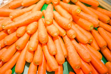 Bunch of carrots in box in supermarket