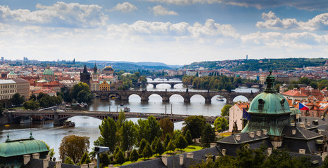 Fototapeta na wymiar Bridge and rooftops of Prague