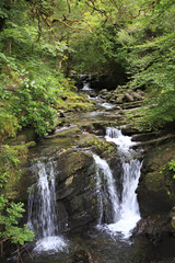 Fototapeta na wymiar Torc Waterfall in Killarney National Park.