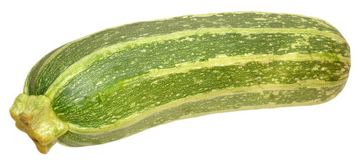 Fresh Marrow Squash