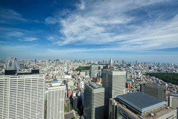 東京都庁展望室からの展望