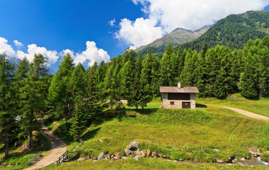 Fototapeta na wymiar Trentino - high Pejo valley