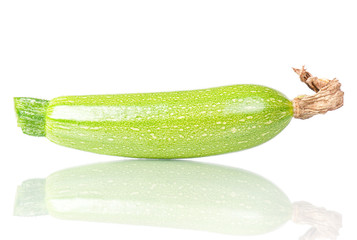Vegetable marrow