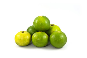 Limes or lemon Green on a white background.