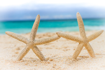 Obraz na płótnie Canvas starfish on tropical sand beach and sea background