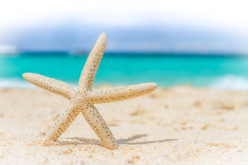 Fototapeta na wymiar starfish on tropical sand beach and sea background