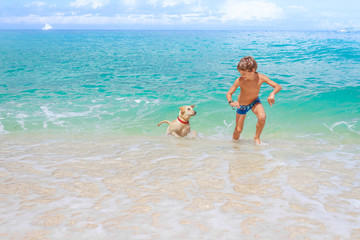 young happy child boy having fun with white dog in the sea, summ