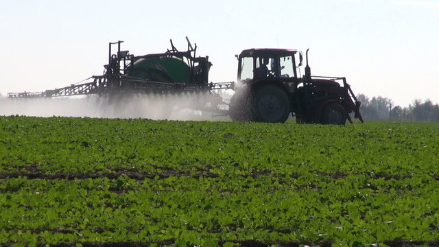 farm tractor spray autumn season green rapeseed crop field