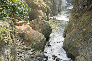 耶馬溪・魔林峡の峡谷