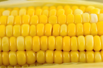 Closeup corn boiled