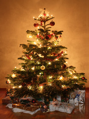 Weihnachtsbaum 1
