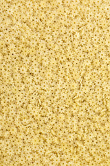 raw pasta background close up