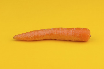 Carrot