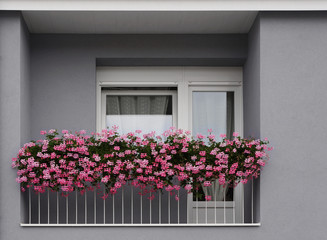 Modernisierter Balkon mit PVC Glaselementen und Blumenschmuck