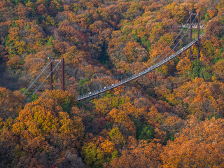 紅葉と吊り橋