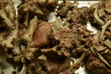 Sus scrofa domesticus Maiale Hausschwein Expo Milano 2015