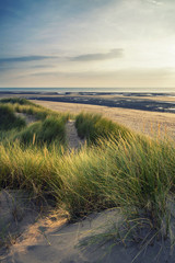 Summer evening landscape view over grassy sand dunes on beach wi © veneratio