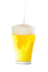 pouring a pint of beer on white background