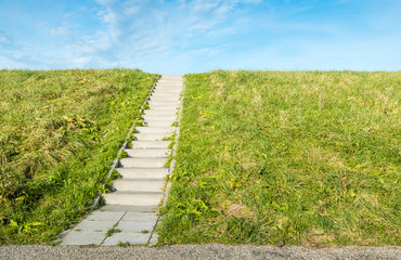 Concrete stairs between the grass