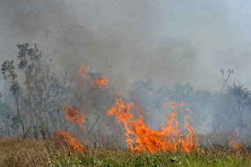 Fierce brushfire with smoke, Kakadu National Park