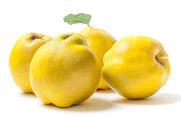 Quinces on White - Stock Photo