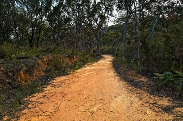 Obraz premium Fire trail in the Australian bush