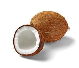 coconut fruit food tropical nut
