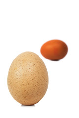 Eggs on a white background.