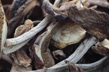 Closeup of dried wild mushrooms. Bolete, leccinum.