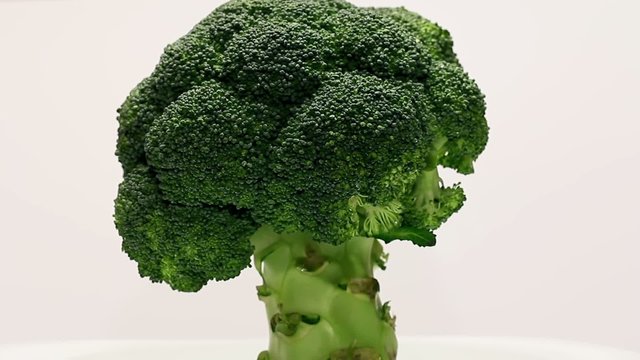 Rotating broccoli on a white background