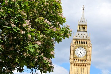 Fototapeta na wymiar Architectural detail of the Big Ben clock tower