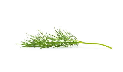 Green dill isolated on white background. Studio macro