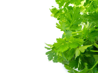 Parsley isolated on white
