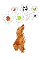 Cute dog with balls in thought bubbles