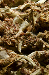 Pig Cerdo Maiale Hausschwein Świnia domowa Expo Milano 2015