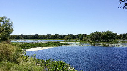 Brazos Bend State Park