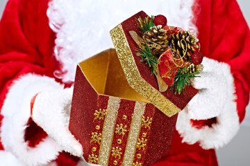 Christmas  Santa Claus with gift