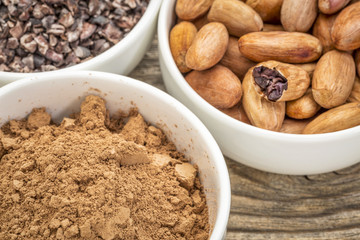 cacao beans, nibs and powder