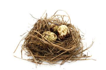 Three quail eggs