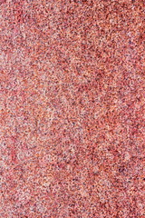 Rostfläche